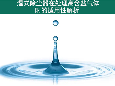 湿式除尘器在处理高含盐气体时的适用性如何？